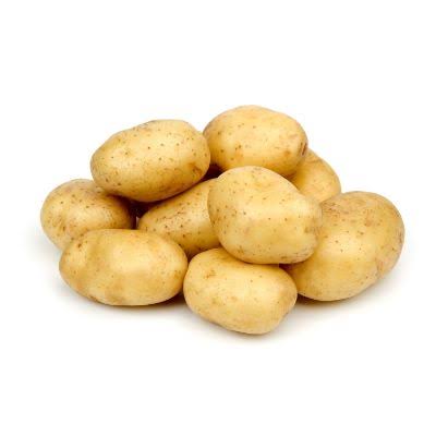 Planting and growing Irish potato