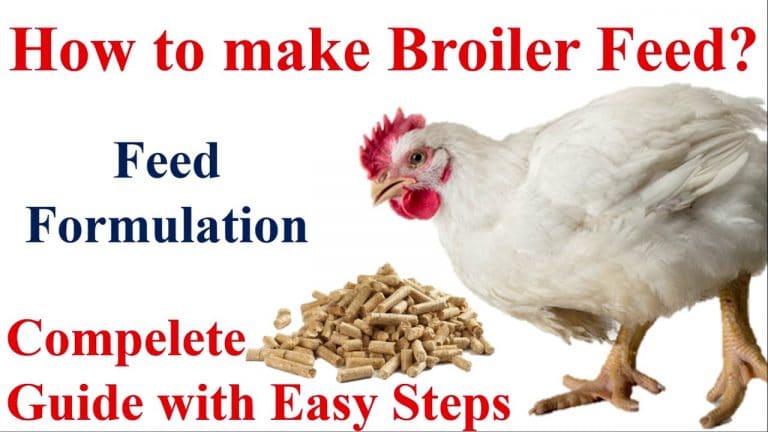 How To Make Broiler Starter And Finisher Feed - FarmPally.com