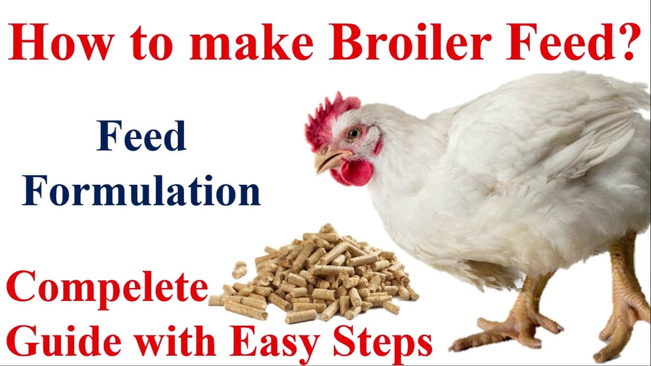 how-to-make-broiler-starter-and-finisher-feed-farmpally