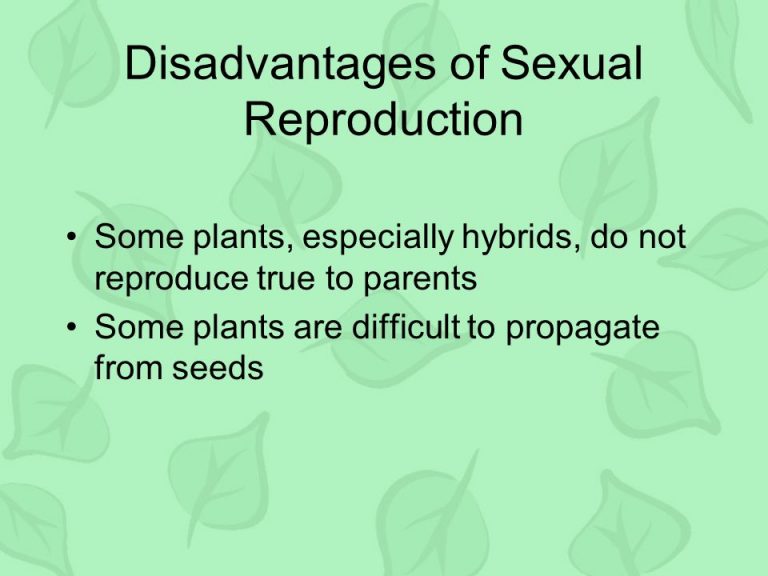 Disadvantages Of Sexual Reproduction In Plants 2820