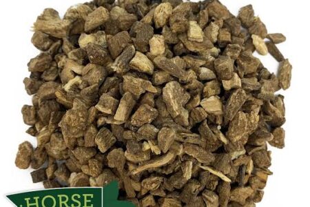 How to use burdock roots for horses