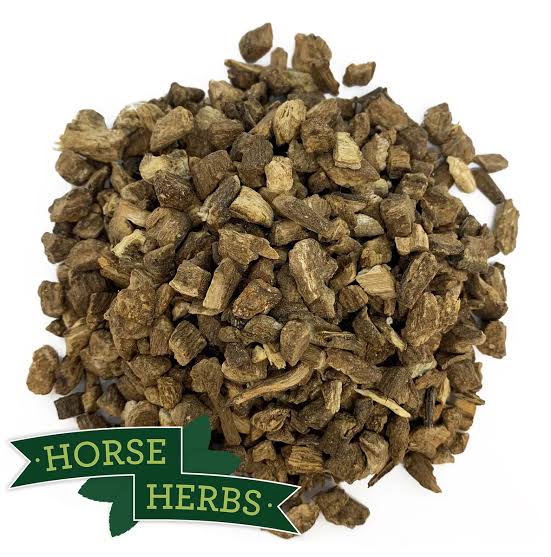 How to use burdock roots for horses 